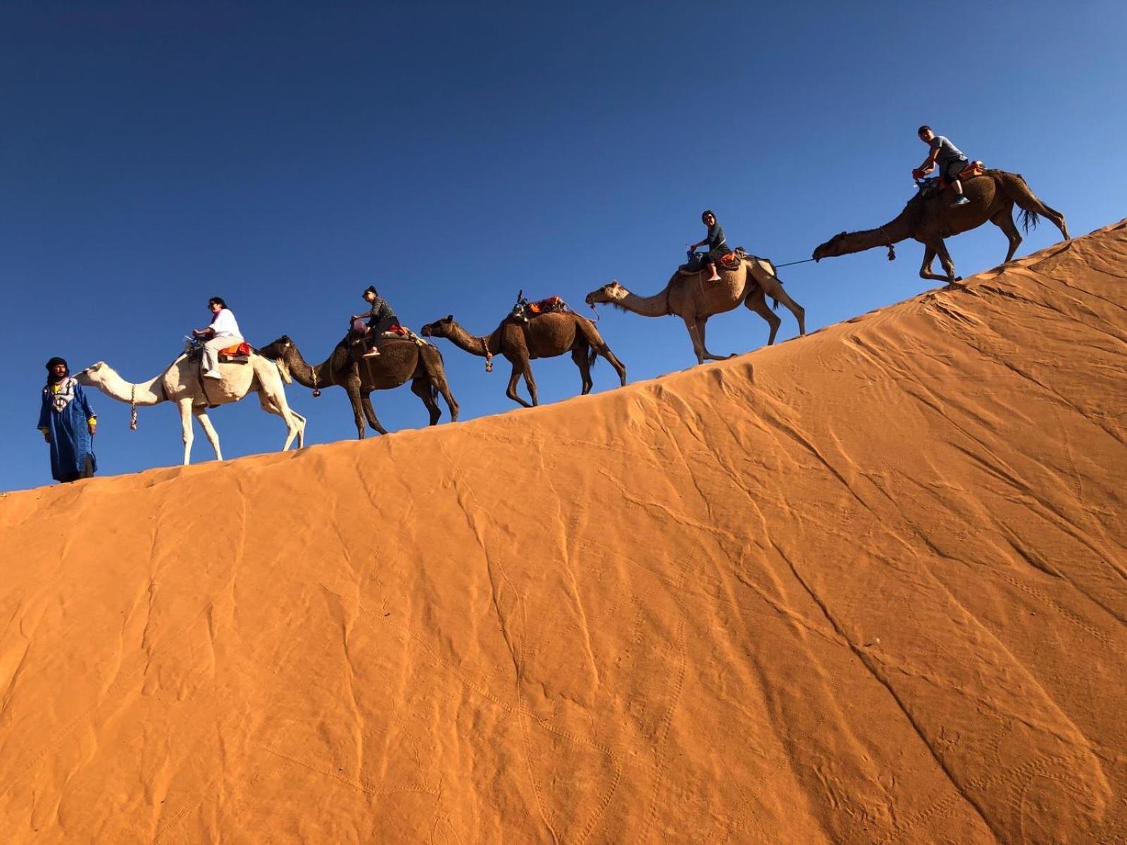 Riad Les Jardins De Merzouga Ngoại thất bức ảnh